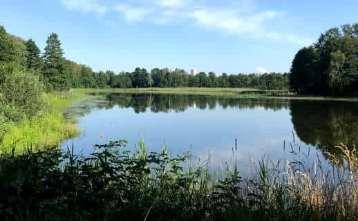 Lake and woods in the Brzeszcze Budy nature reserve near Auschwitz