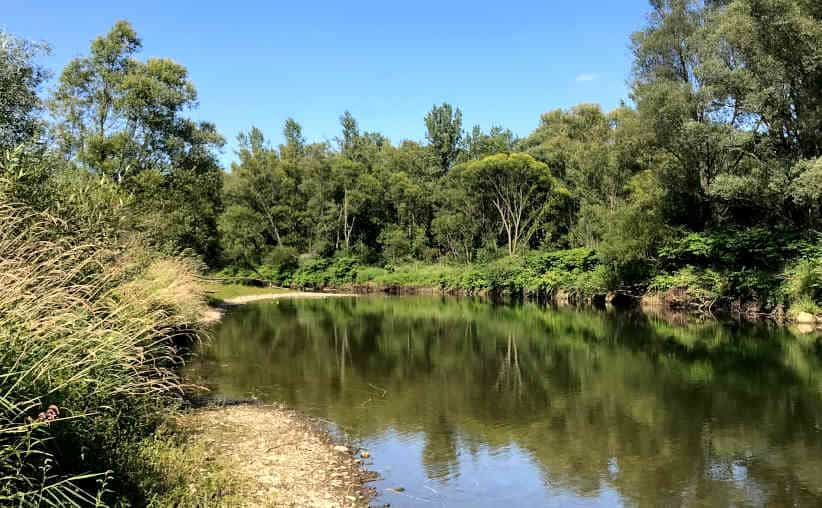 Soła river surrounded by green bushes and trees.