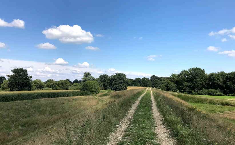 A field road surrounded by green bushes and woods near Wisła river and Auschwitz II Birkenau.