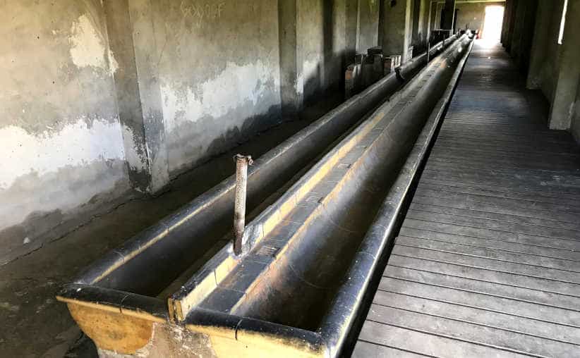 Washroom in a sanitary brick barrack at Auschwitz-II-Birkenau.