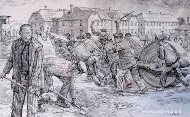 &quot;An unusual team for a road roller&quot; by Jan Baraś-Komski, Auschwitz survivor. Source: auschwitz.org