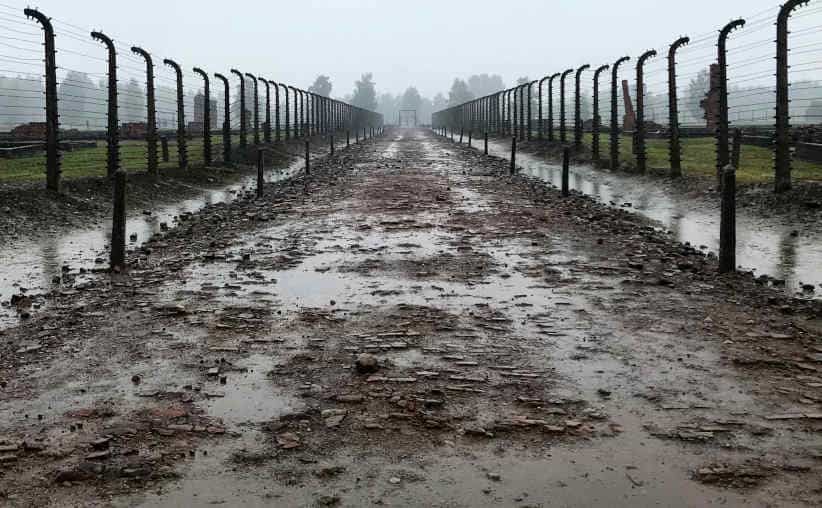 Auschwitz visit conditions: muddy path with concrete fence polls and barbed wires on both sides, between sectors BIIc and BIId at Auschwitz II-Birkenau